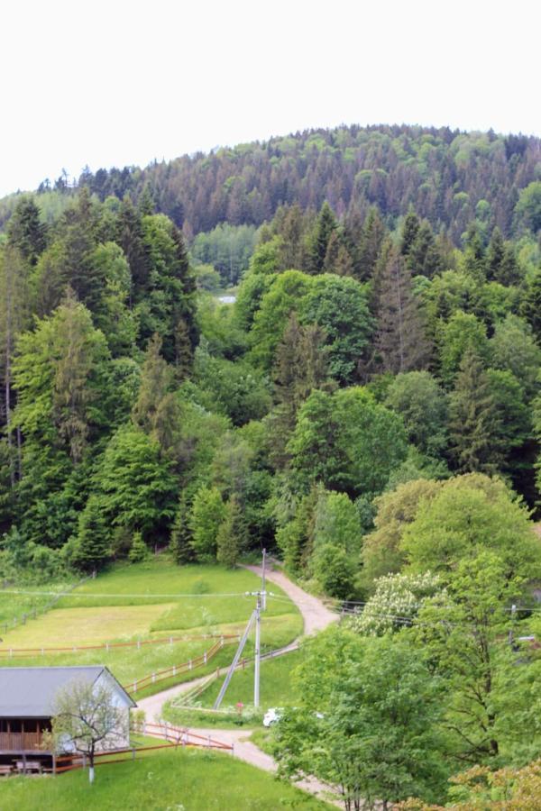 будиночок для щастя Holiday home Yaremche