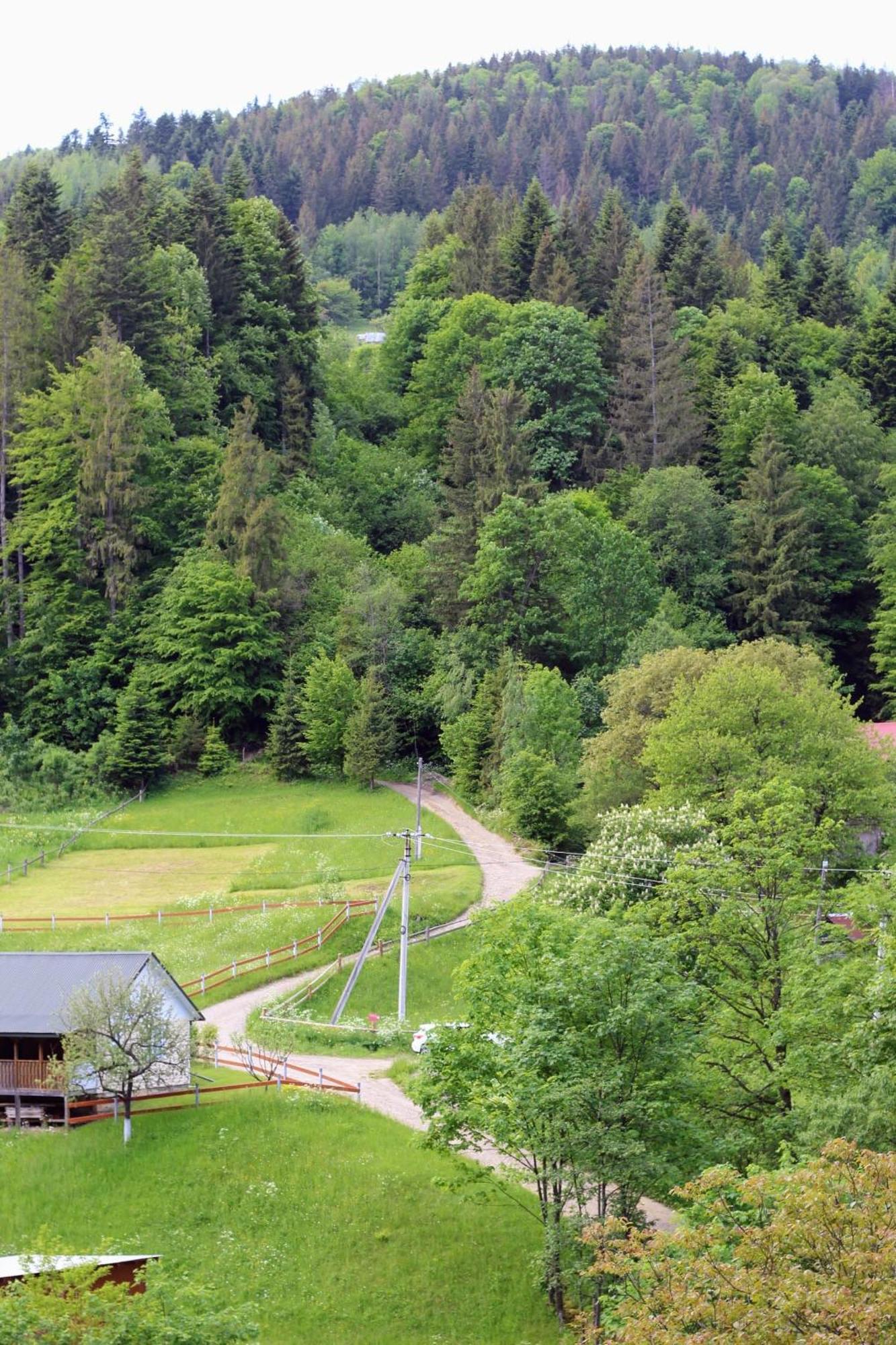 Holiday home будиночок для щастя Yaremche
